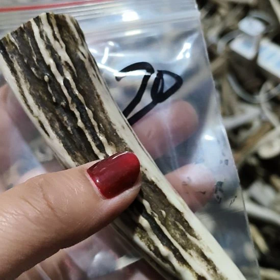 （***）铁合金花岗石鹿角鹿角鹿角鹿角鹿角鹿角