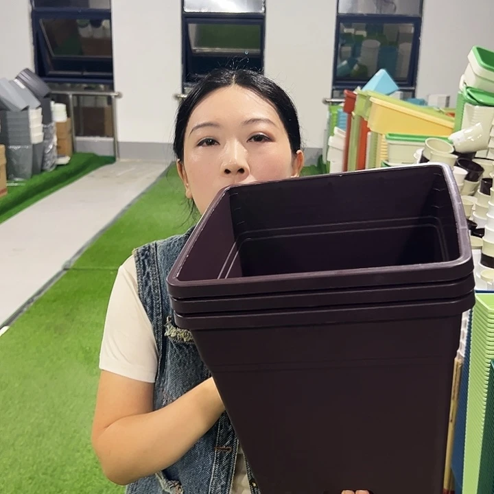 清仓口26高28紫砂3只无托