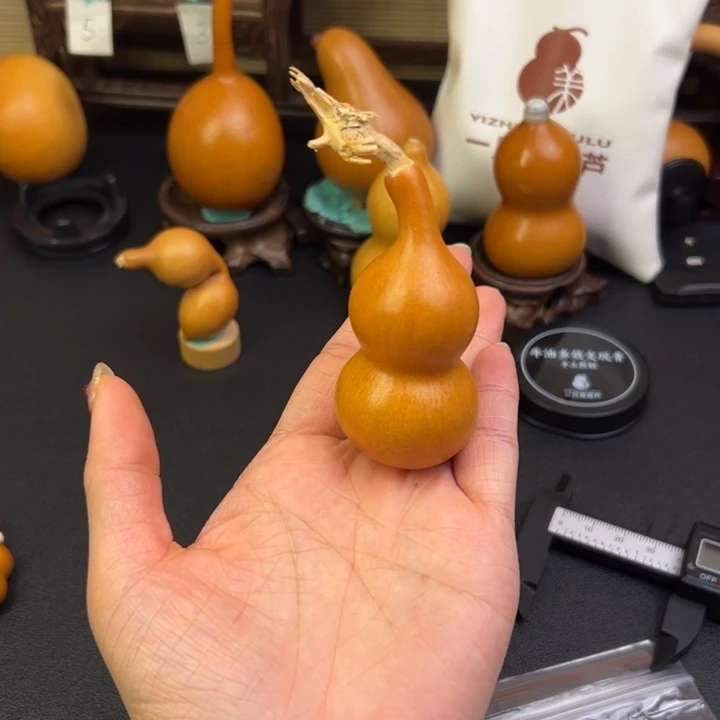༽***༼葫芦葫芦葫芦葫芦