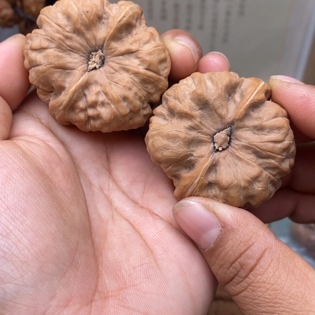 文玩核桃把件41蛤蟆头