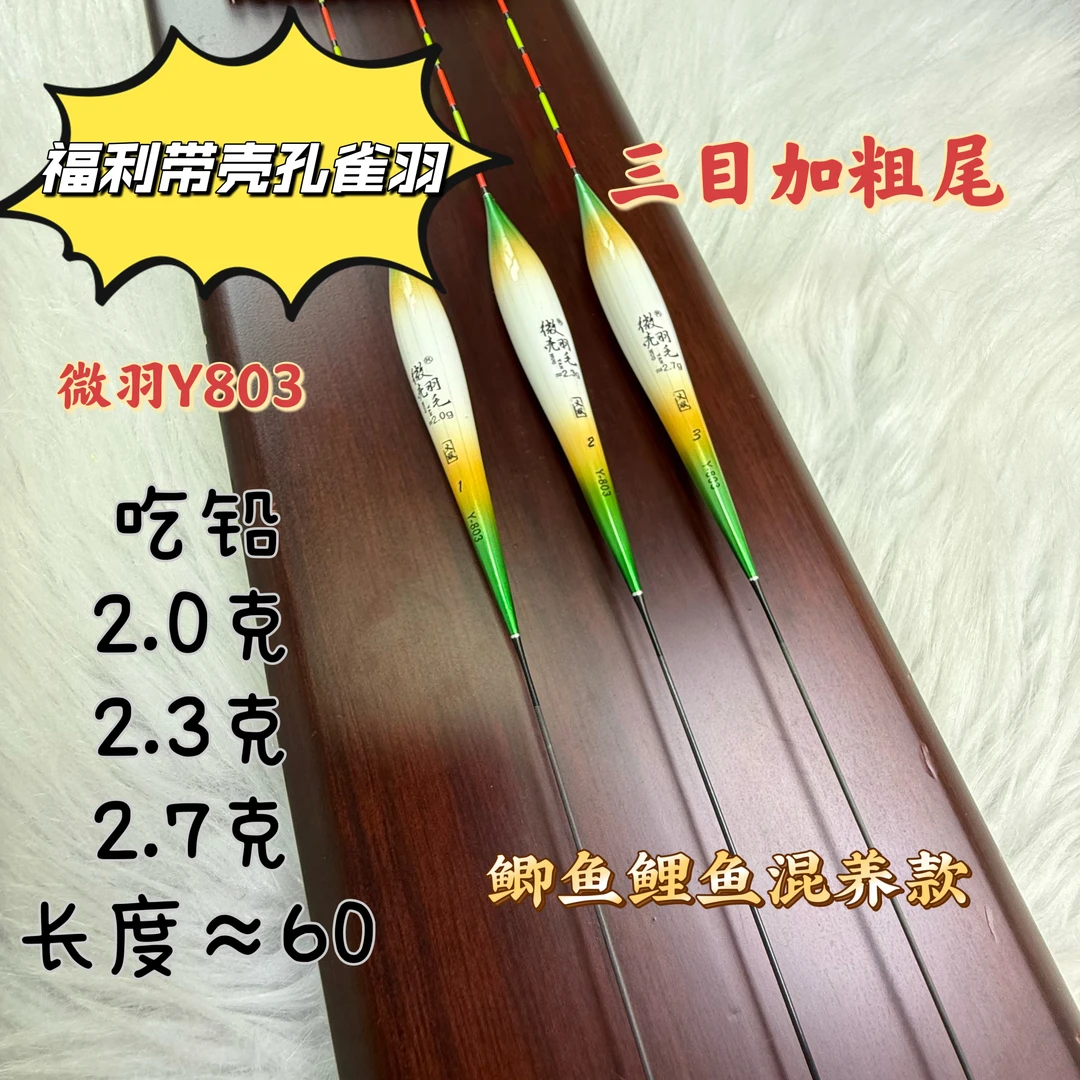 2025款带壳孔雀羽浮漂Y803