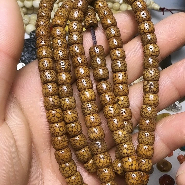 一条111112222尔甲