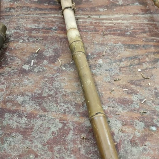 语***沫香榧木实心玉竹手把件金条料