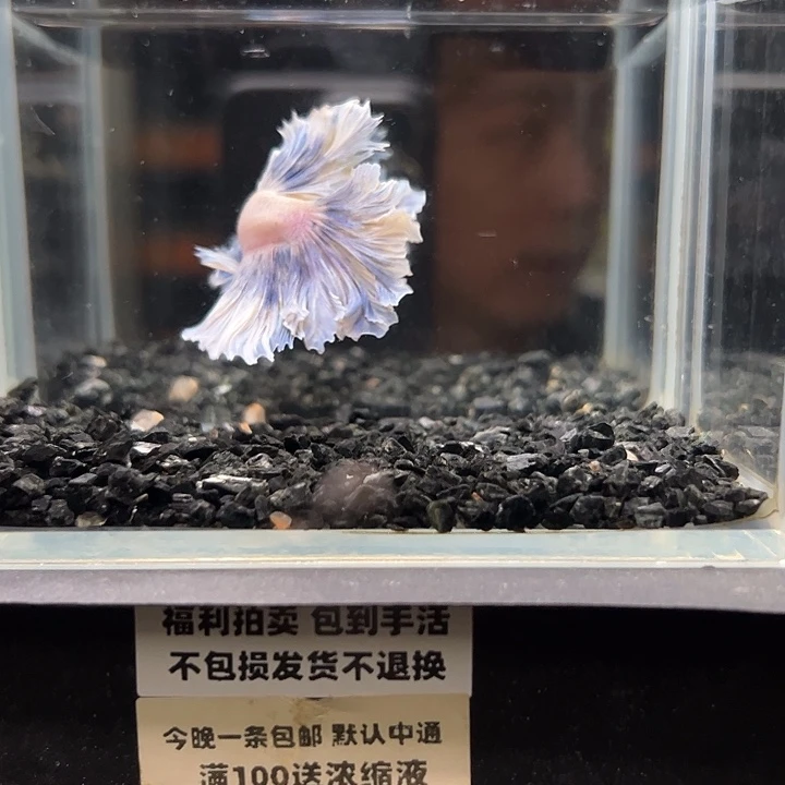 斗鱼竞拍跑单拉黑22日38