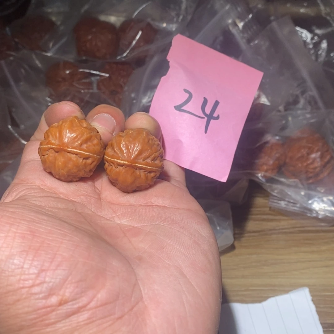 霸王龙手捻。