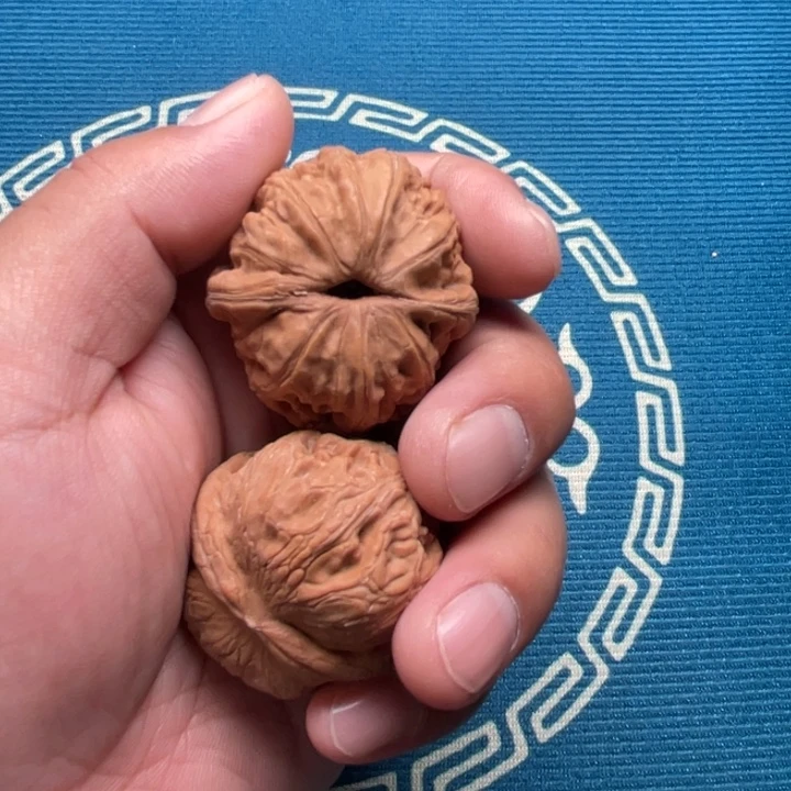 核桃核桃核桃核桃核桃