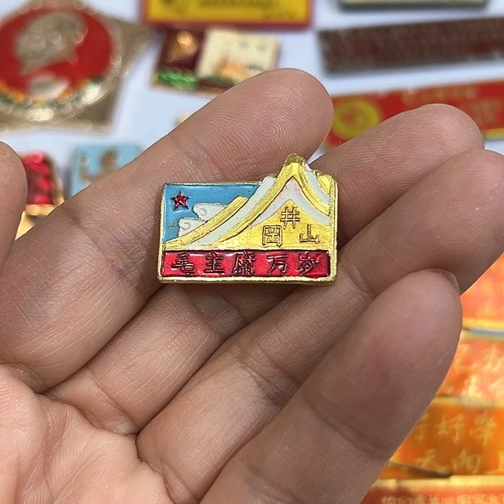 其他普通金属青*纪念章 纪念章