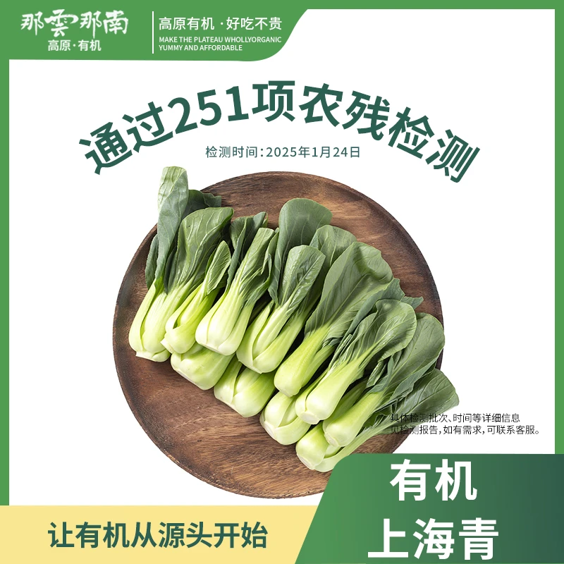 云南高原新鲜有机上海青菜生鲜蔬菜脆嫩爽滑可清炒可煲汤3.6斤装.
