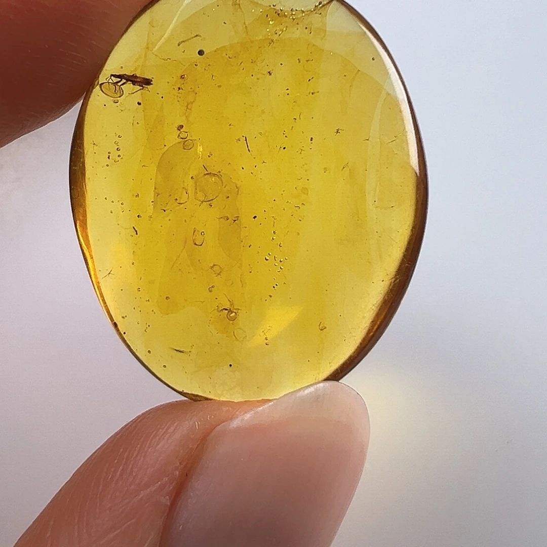 琥珀裸石未镶嵌植**生