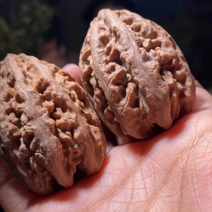 把件文玩核桃东北楸子 240