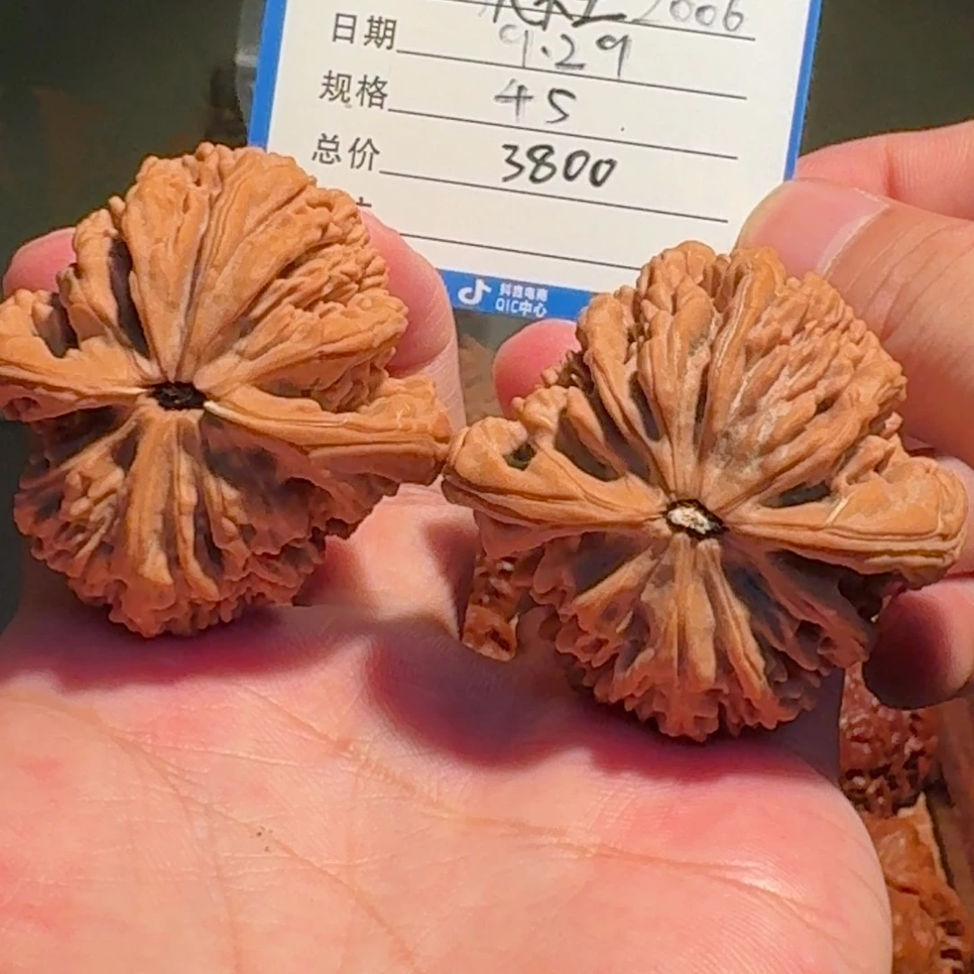 ****i虎头王编号2006精品