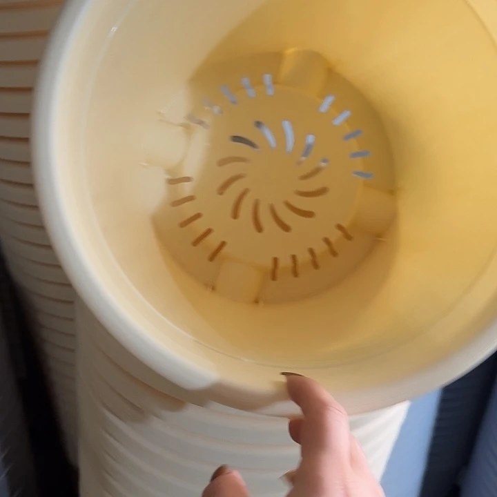 四季5号米黄无托5个