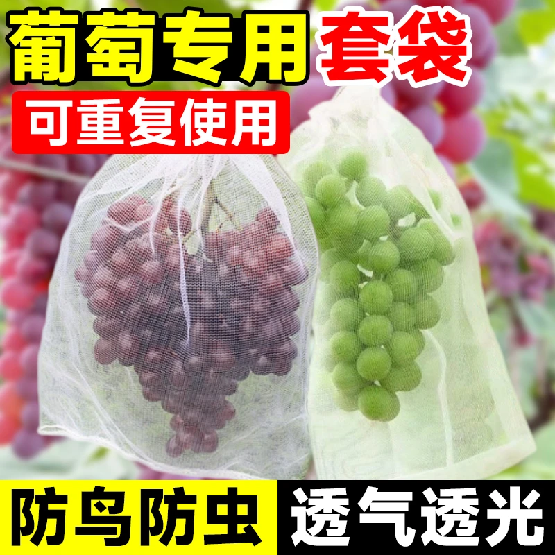 桃子套袋果袋桃袋水蜜桃黄桃套袋蟠桃冬桃专用袋防虫防鸟水果套袋