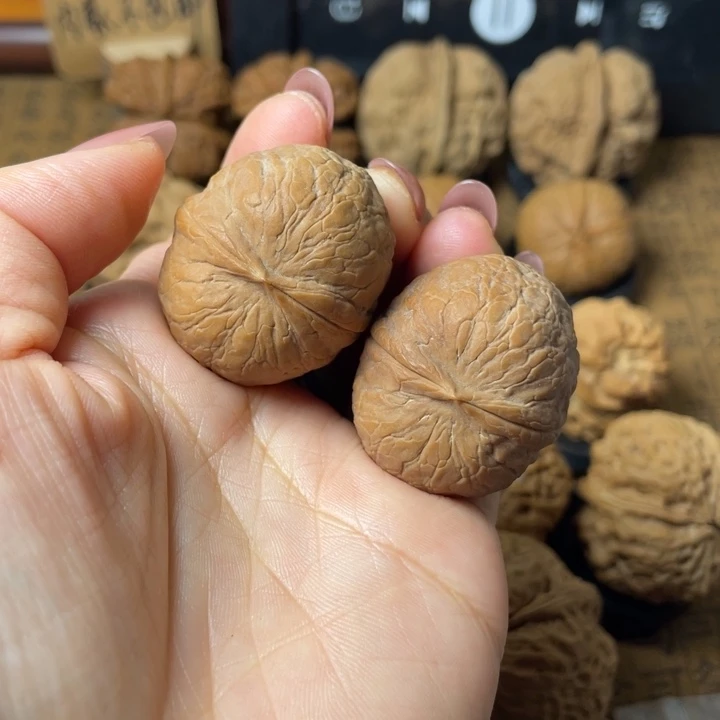 风***限一物一拍如图所示31