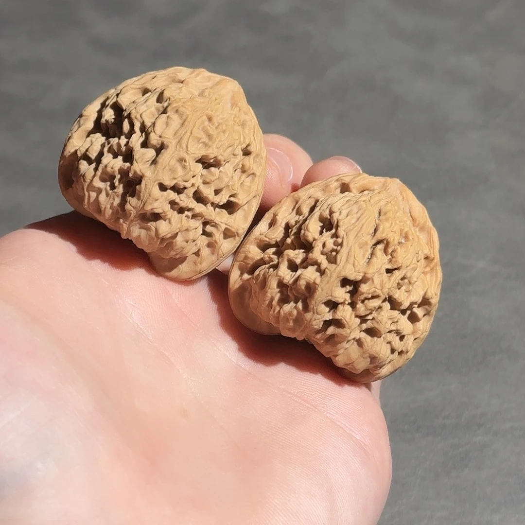 核桃40尺山地一代南疆