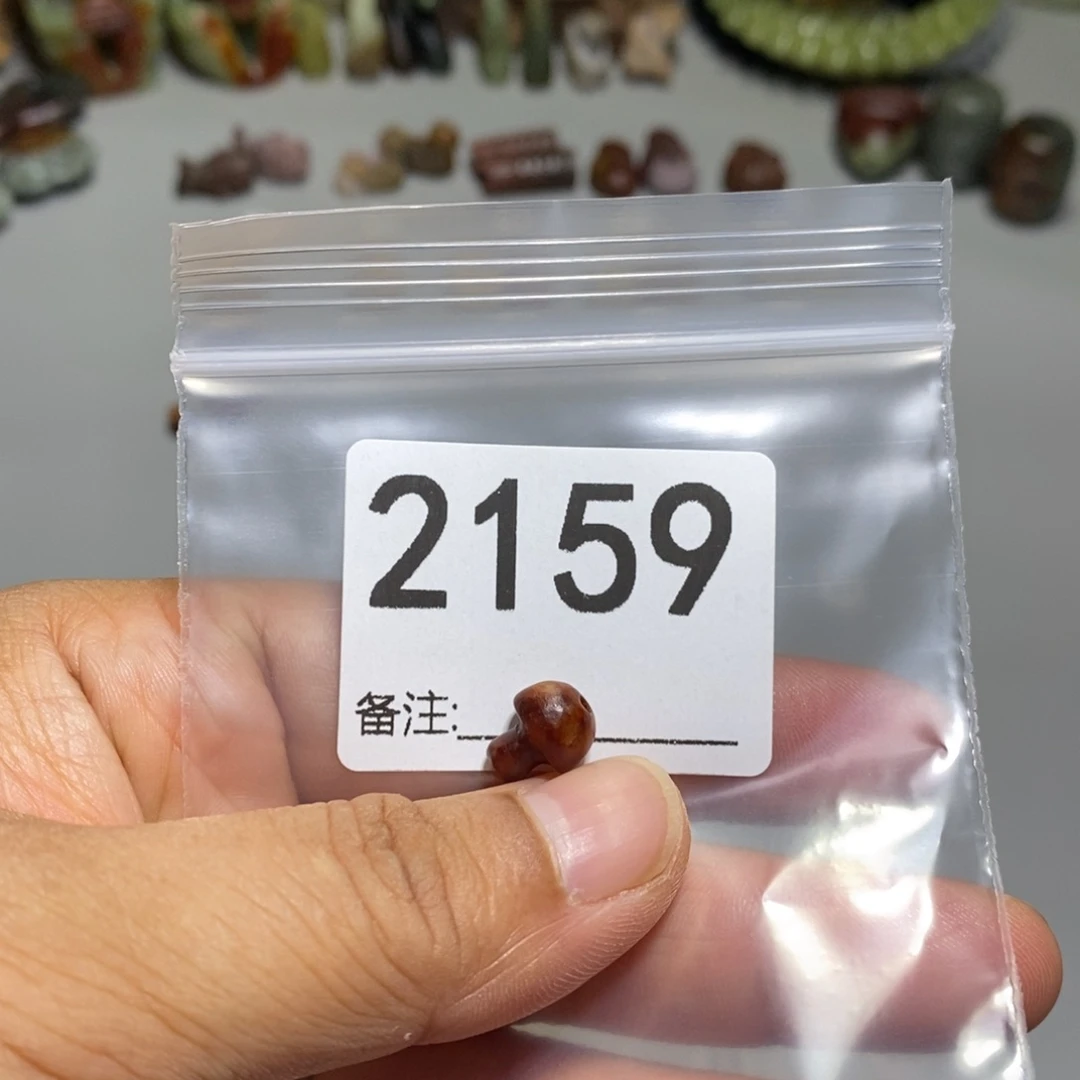 颈饰未镶嵌透闪石质玉乐*