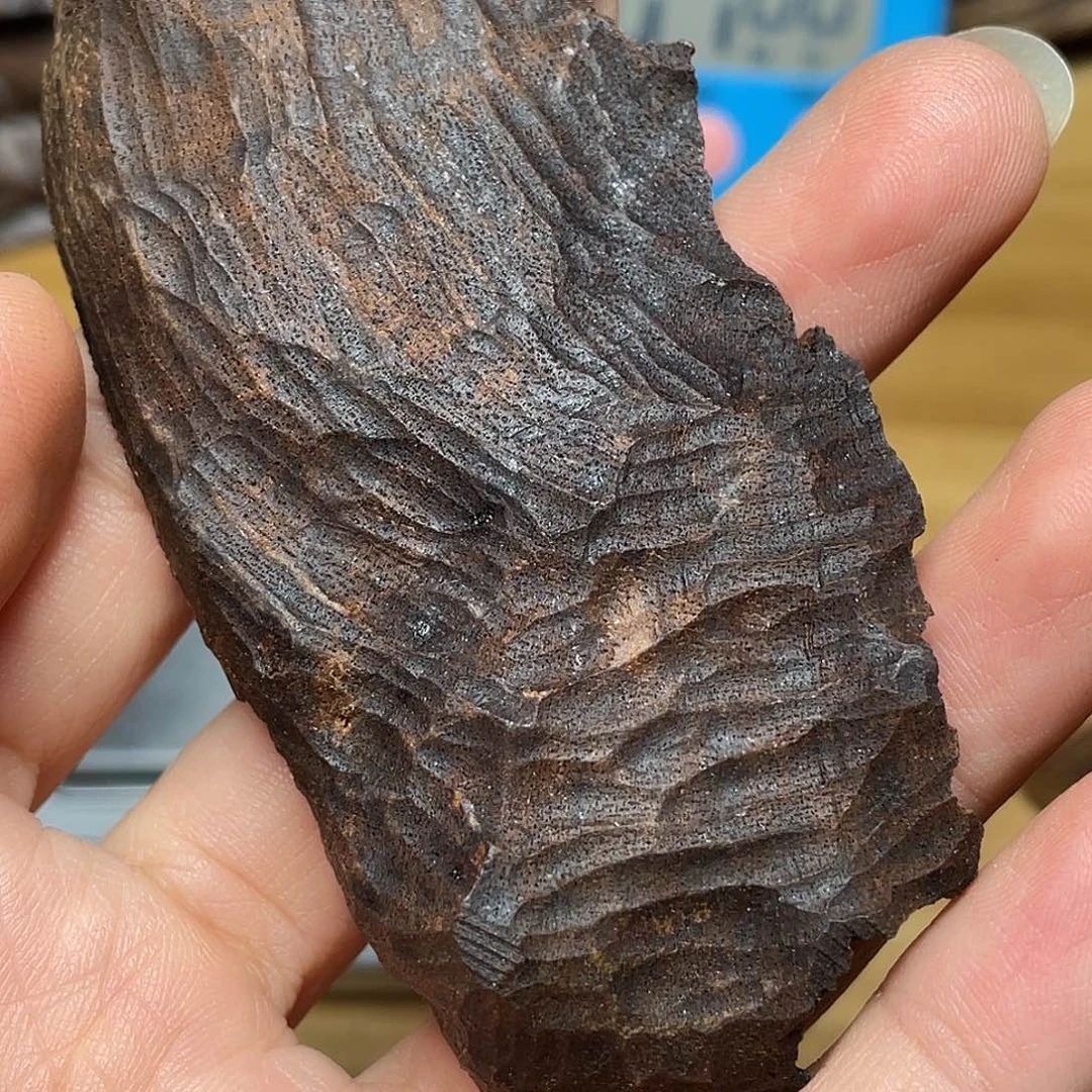 用***5沉香达拉干老包头6克