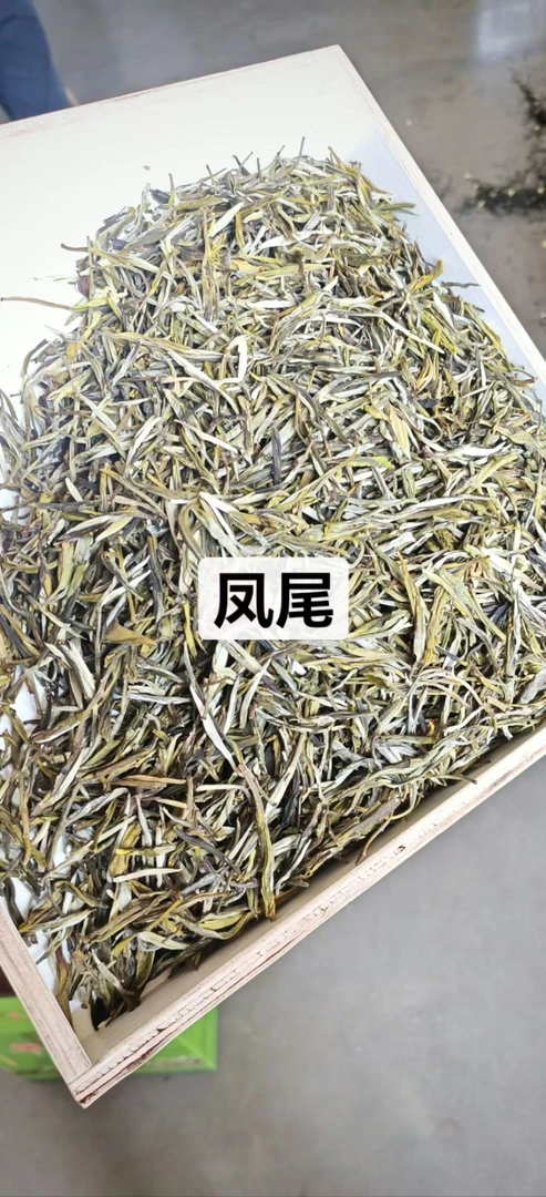 茉莉风尾 散装茉莉花茶
