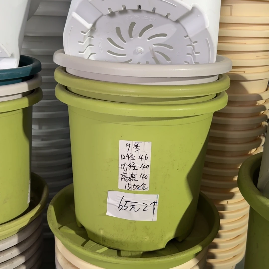 微瑕9#口径46无拖果绿3个