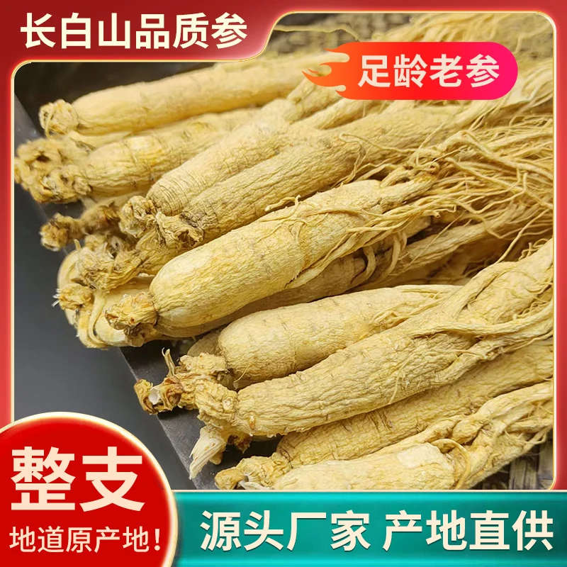 人参山参长白山东北特产人叁精品生晒白参泡酒干参煲汤