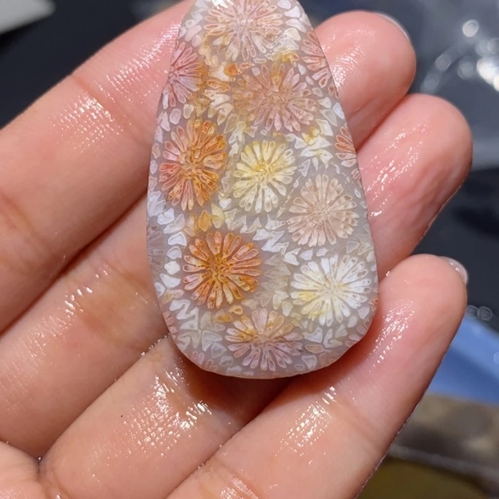 【闪购商品】未镶嵌珊瑚玉硅化玉