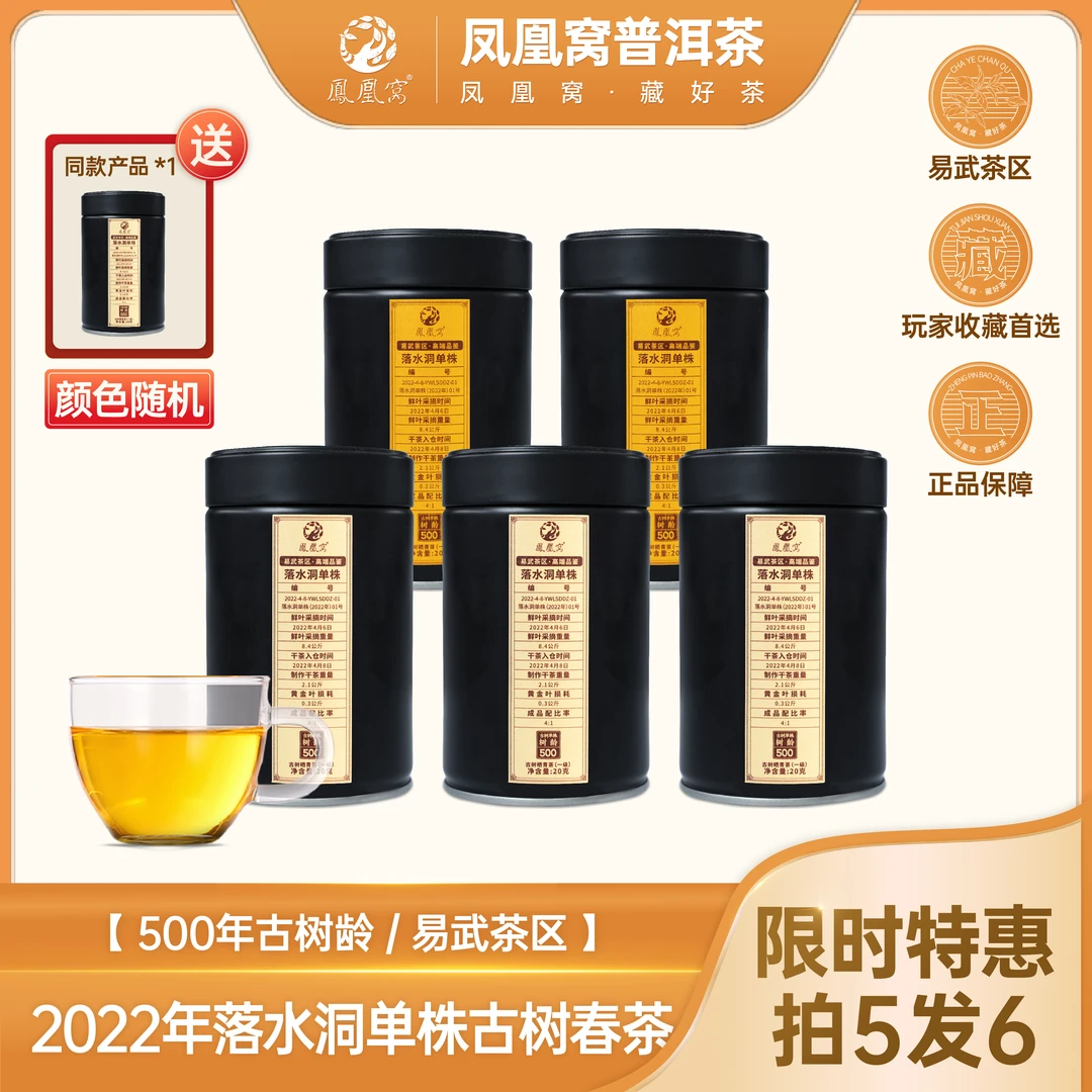 落水洞正宗高杆古树单株生茶散茶易武茶茶区20g/罐2022年无品鉴装