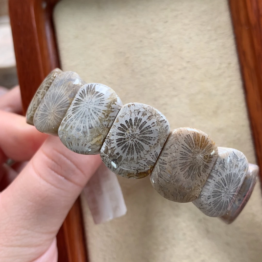 未镶嵌手排漏100/个。18硅化珊瑚（珊瑚玉）