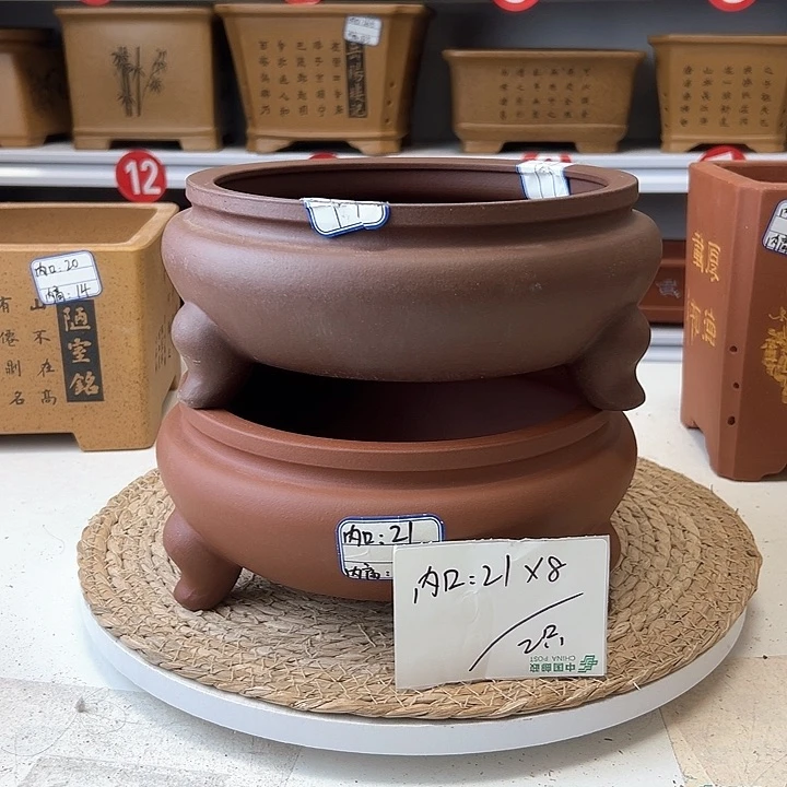 紫砂花盆蛇年大吉