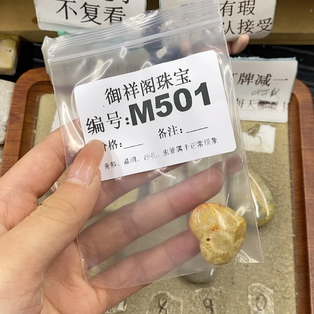 硅化珊瑚（珊瑚玉）未镶嵌颈饰小***笋