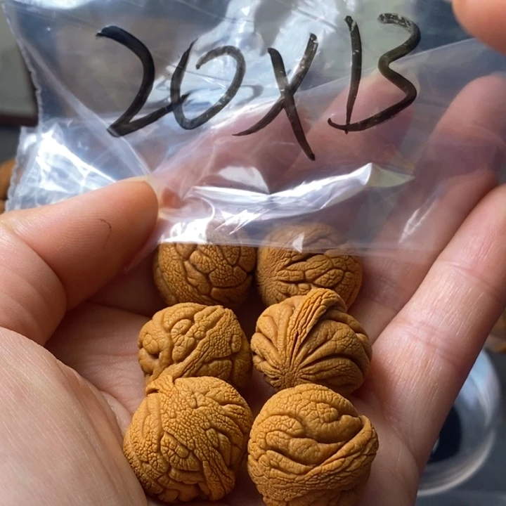 文玩核桃手串秦岭野生龙纹桃核20