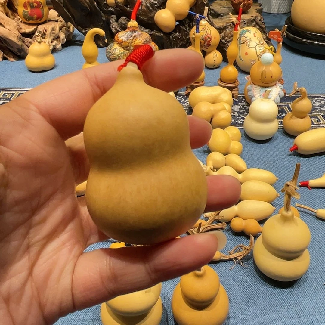 木琉***岸葫芦等多种颜色组合起来成为装饰