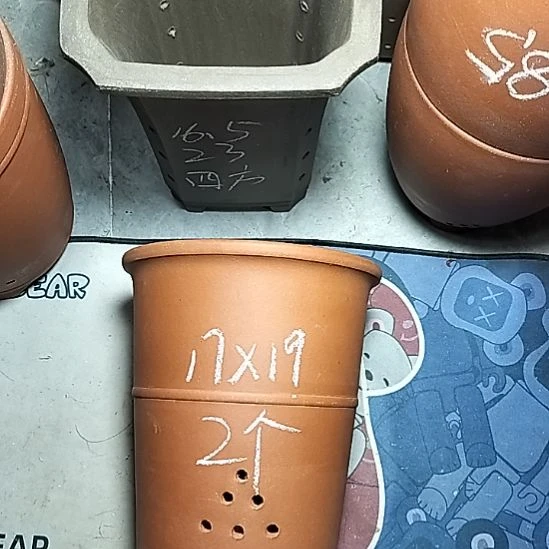 红泥腰缠万贯两个微瑕