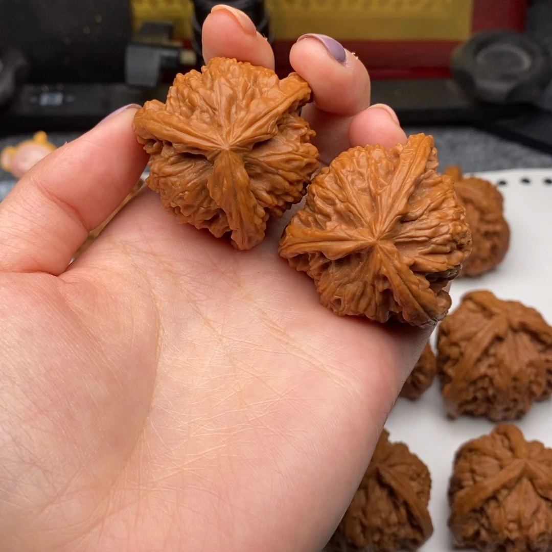 橙****甜白狮子1111111