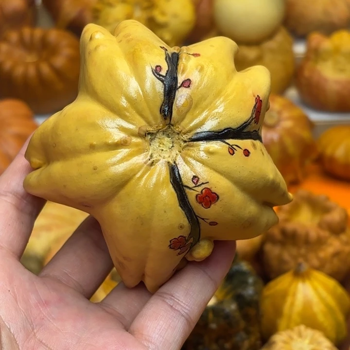 福利特价不退不换