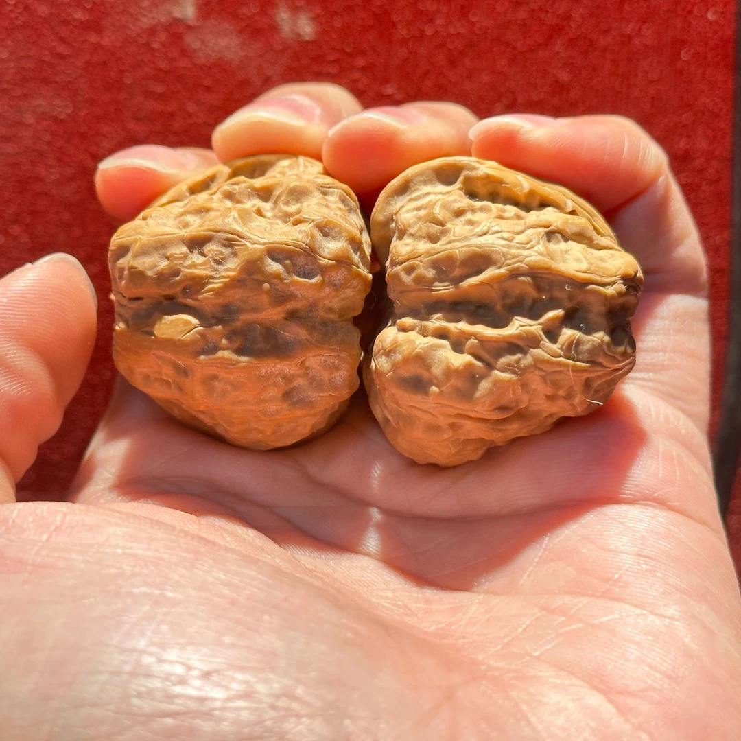 大林子元旦破价福利 蛤蟆头核桃 40mm以下 必录开箱