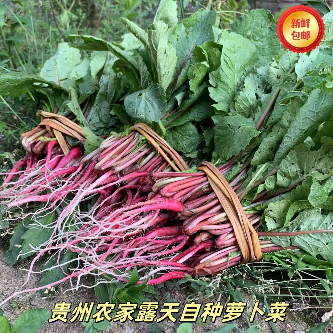 贵州农家新鲜萝卜菜开胃下饭菜时令生鲜蔬菜家乡菜