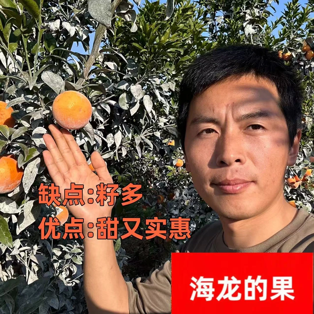 【山西，河北，陕西，榆林，延安 专拍】武鸣沃柑 净重5斤 中通快递