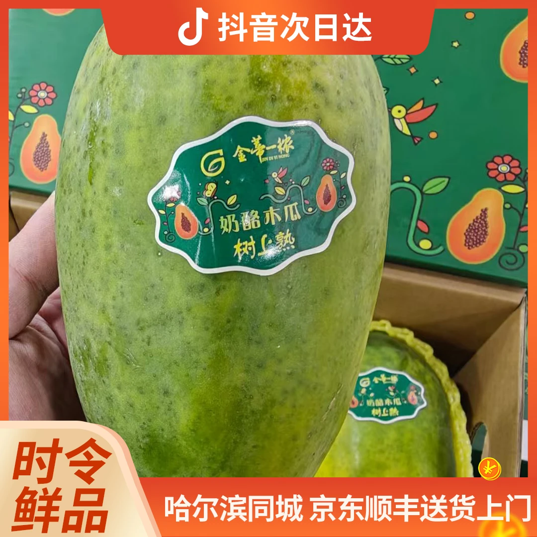 金蒂一秾 树熟奶酪木瓜 2粒/箱 2-3斤
