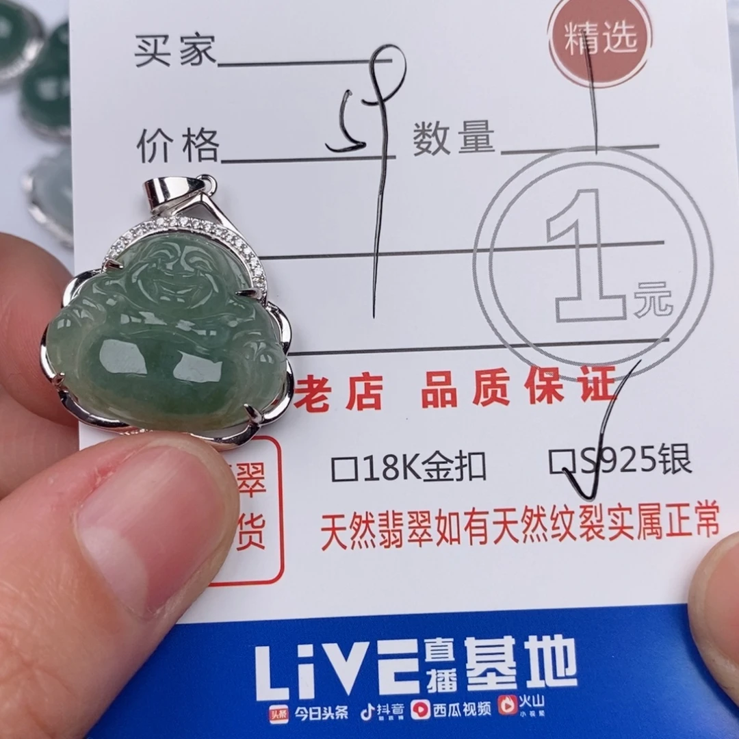 翡翠银S925镶嵌颈饰