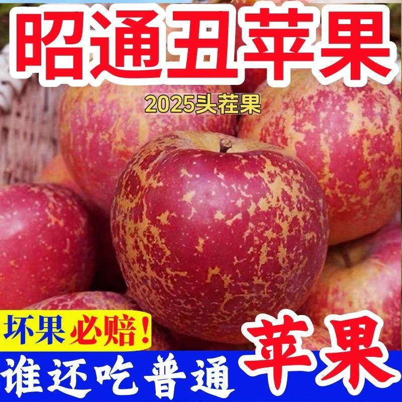 2025新鲜云南昭通丑苹果华硕高原红富士当季现摘脆甜多汁2-9斤