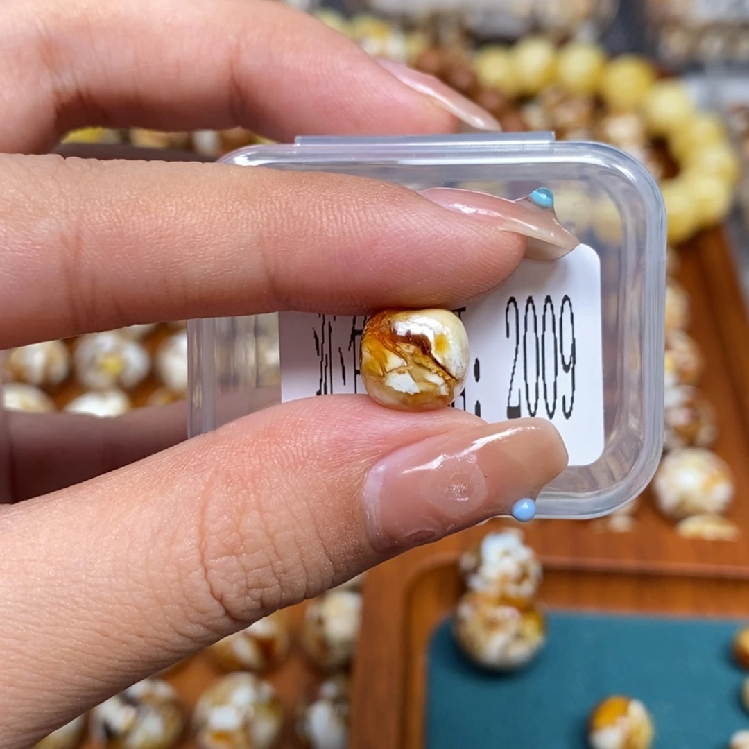 沁色蜜蜡未镶嵌2009