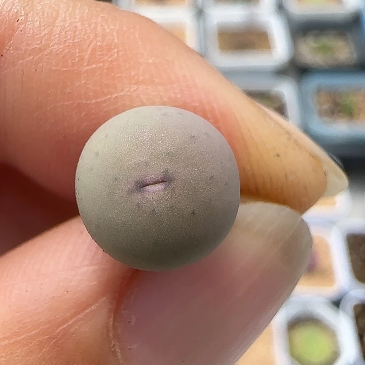 228v嘴福利福利福利1102