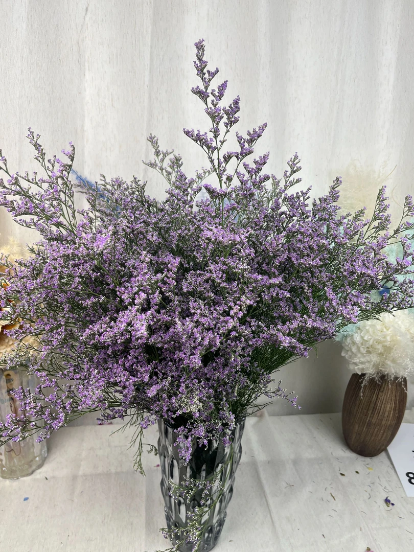 云南昆明基地直发情人水培鲜花花期长好养活可520礼物送女友干花