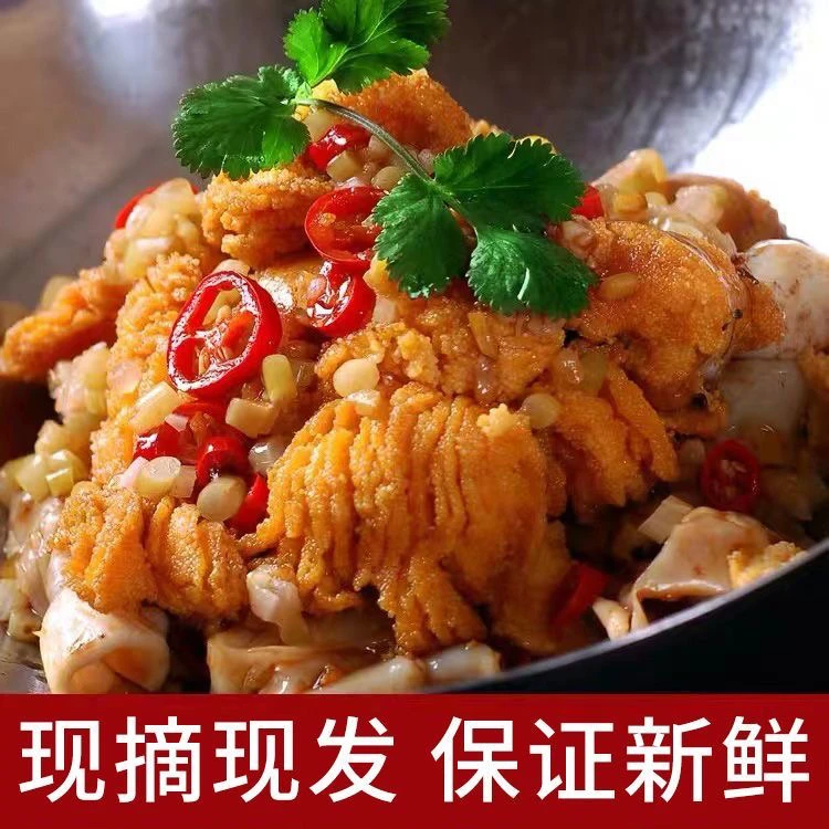 【番薯专属】新鲜现取鱼 籽 净重4斤