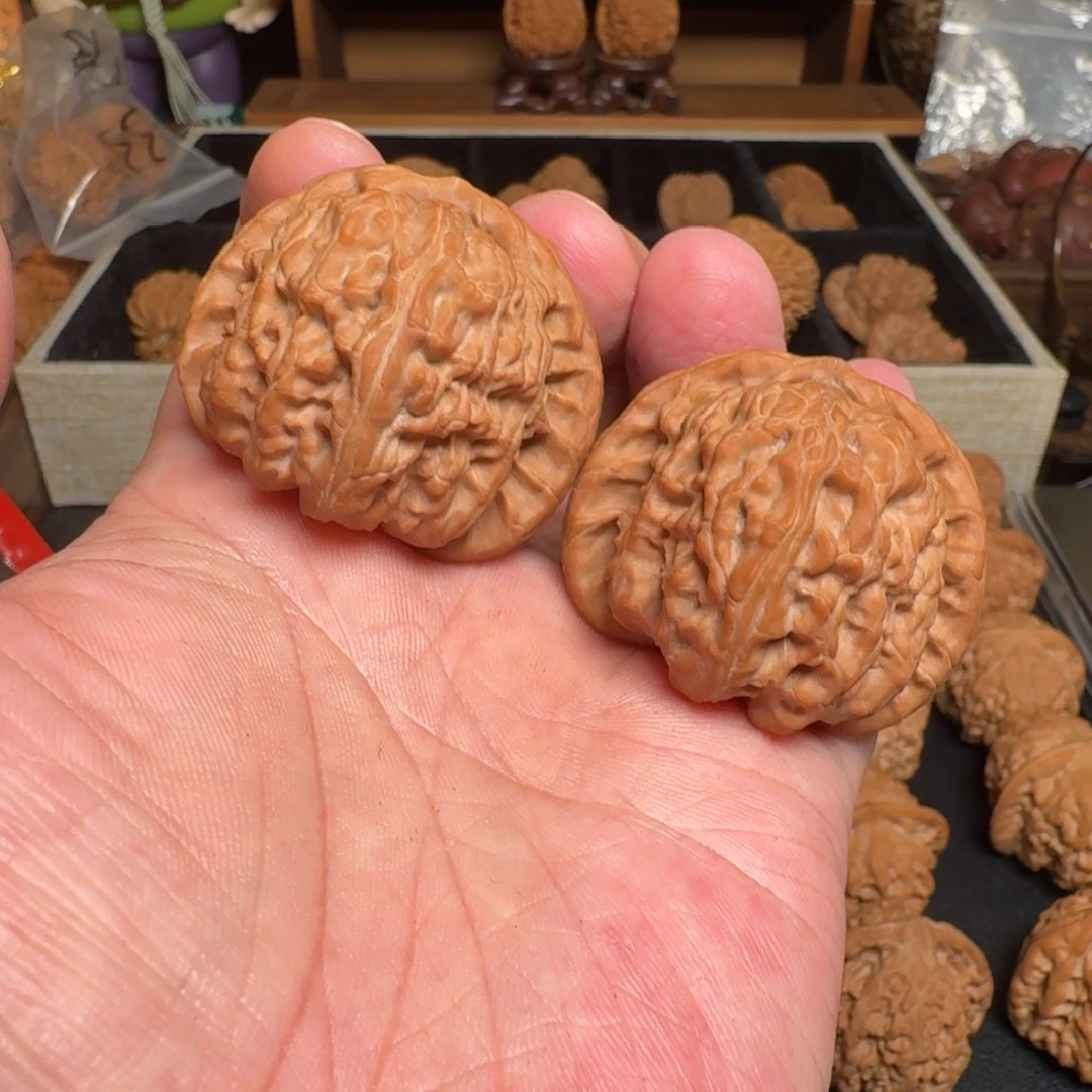 黄***一文玩核桃把件全品白狮子 尺寸44