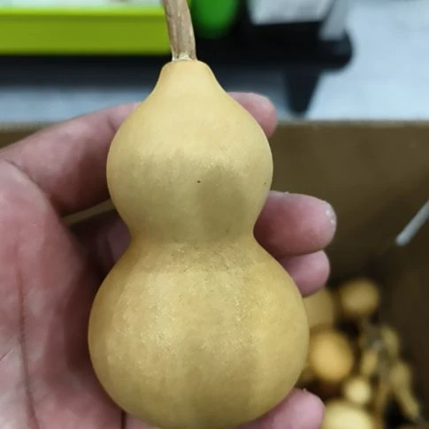 木***笔小奶嘴八宝葫芦精品