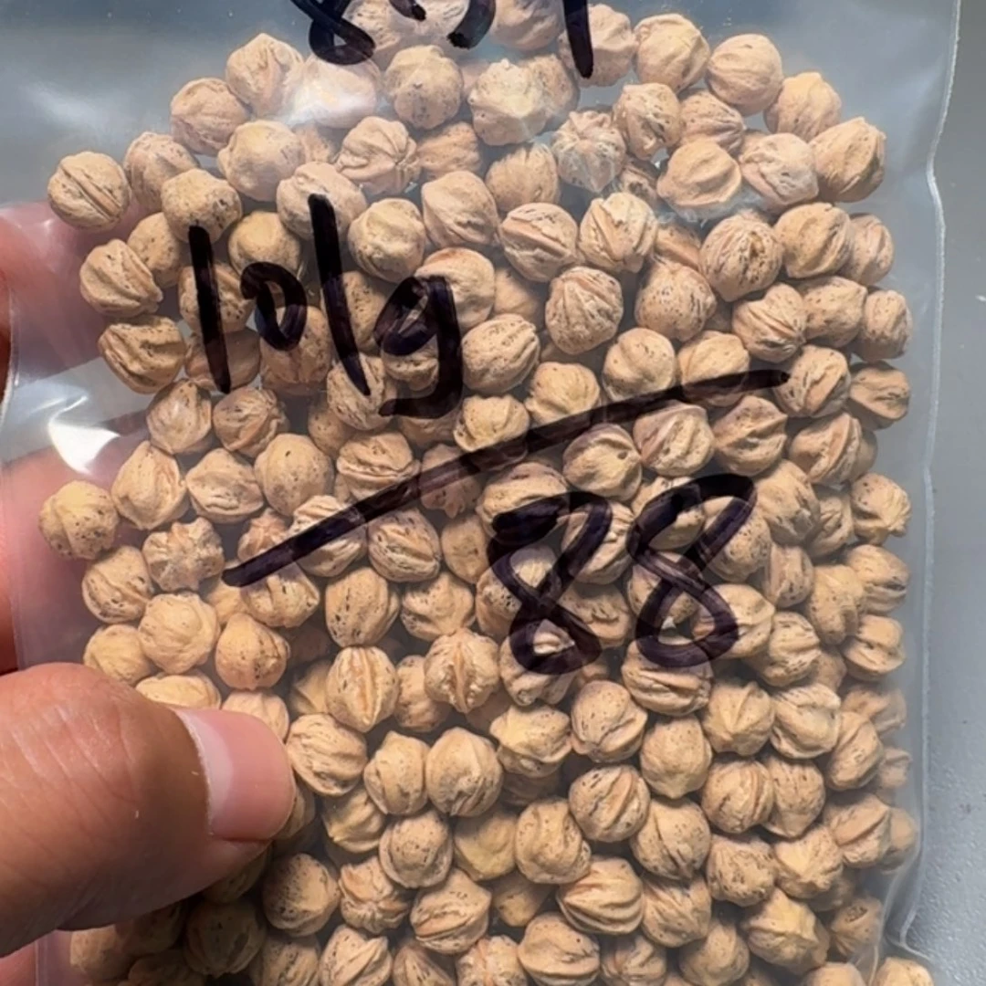 柏香籽/百香籽吊坠不**同