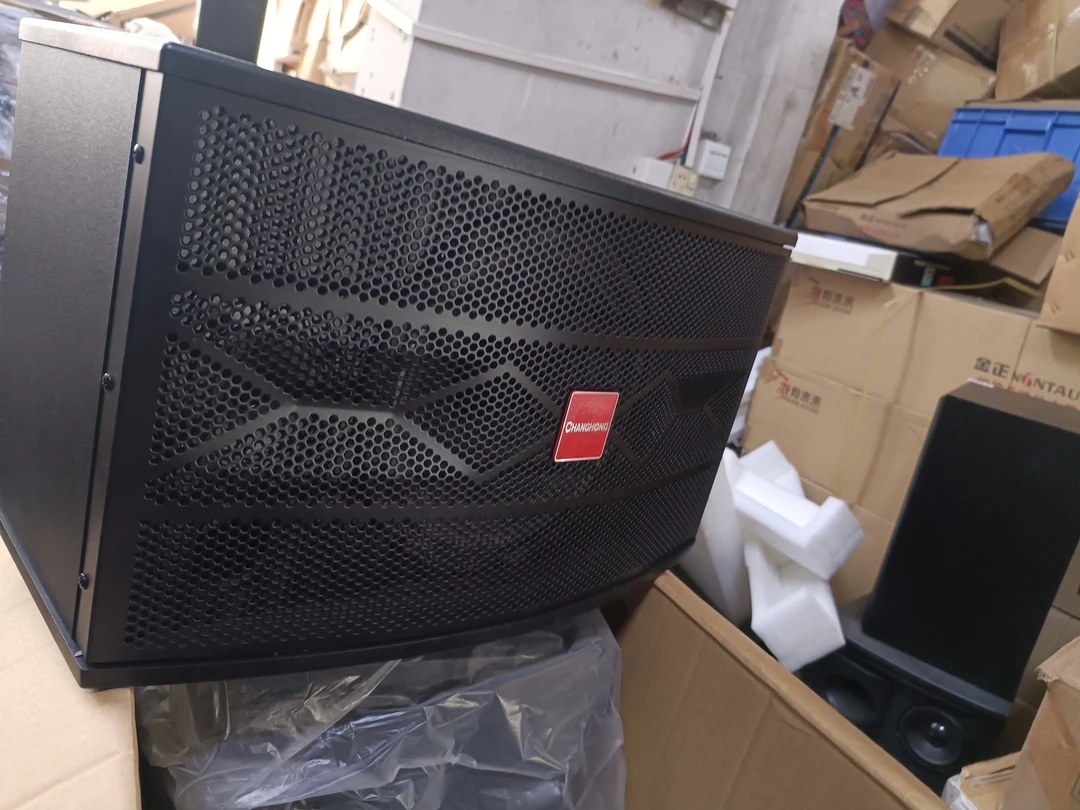 准新品 CHANGHONG/长虹 10寸卡包音响一对，不包邮