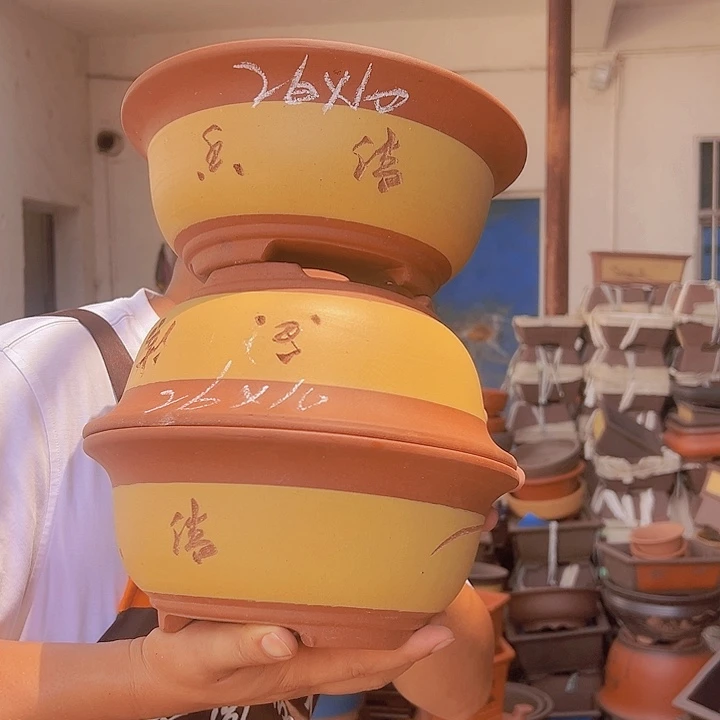 紫砂花盆紫砂花盆