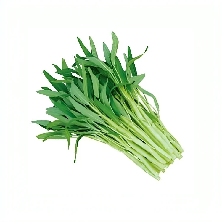空心菜约500g【蔬菜】